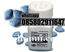 Agen Jual Obat Kuat Viagra Asli Di Makassar 085802911647 Alamat Obat Viagra Usa cod